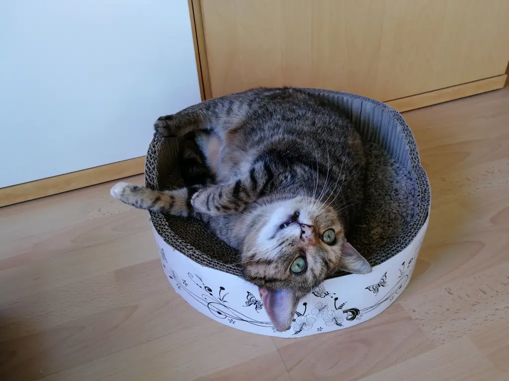 Andachtsbild von Daniela mit Pauline im ♥️ für Emma ❤️ und Sonja