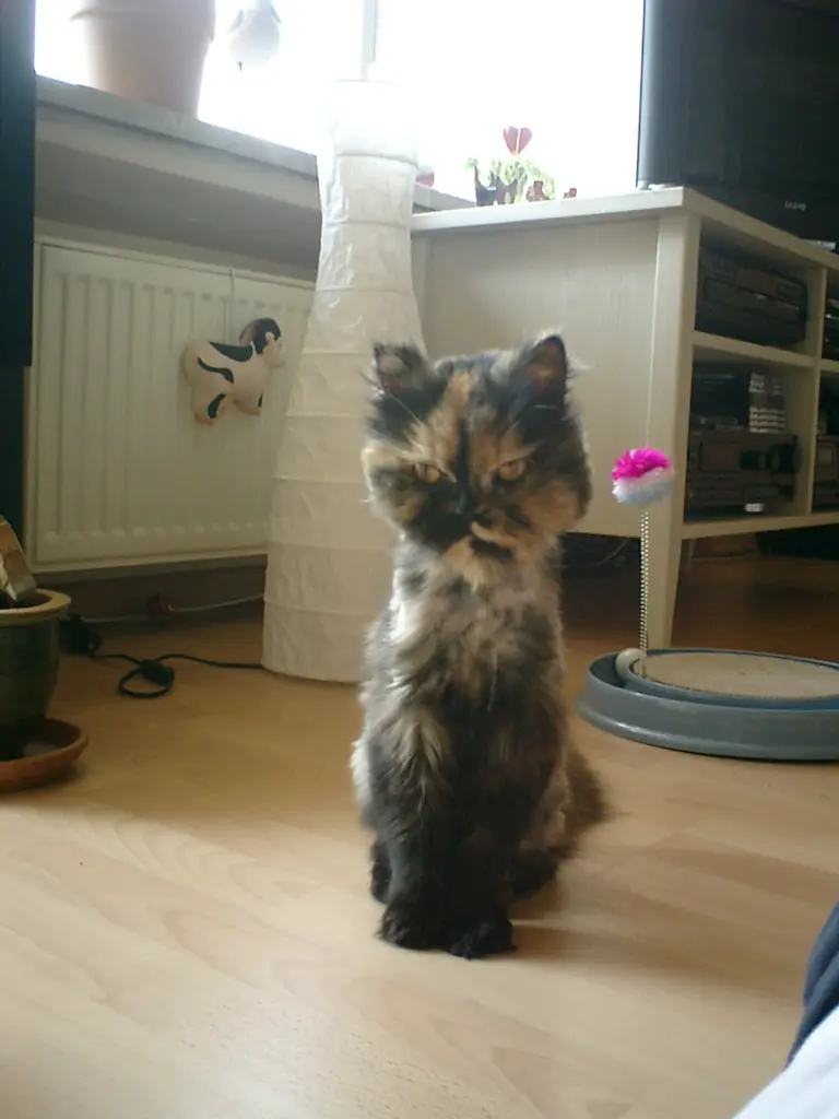 Andachtsbild von Daniela für Mama Sonja ❤️ und Emma