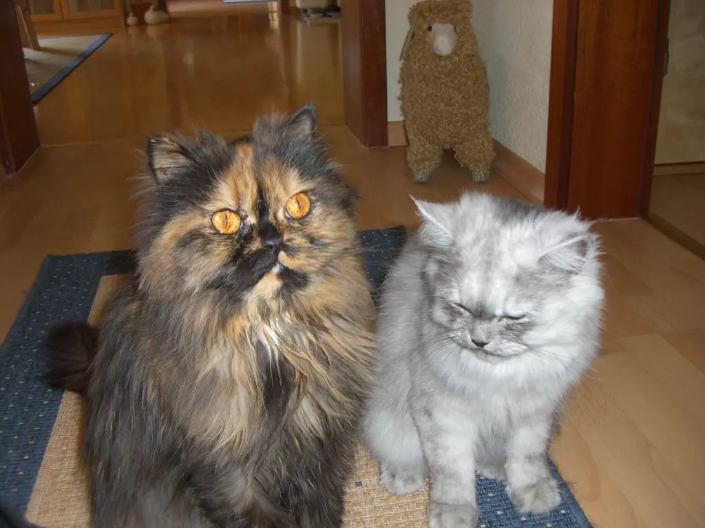 Andachtsbild von Daniela für Mama Sonja ❤️ und Emma