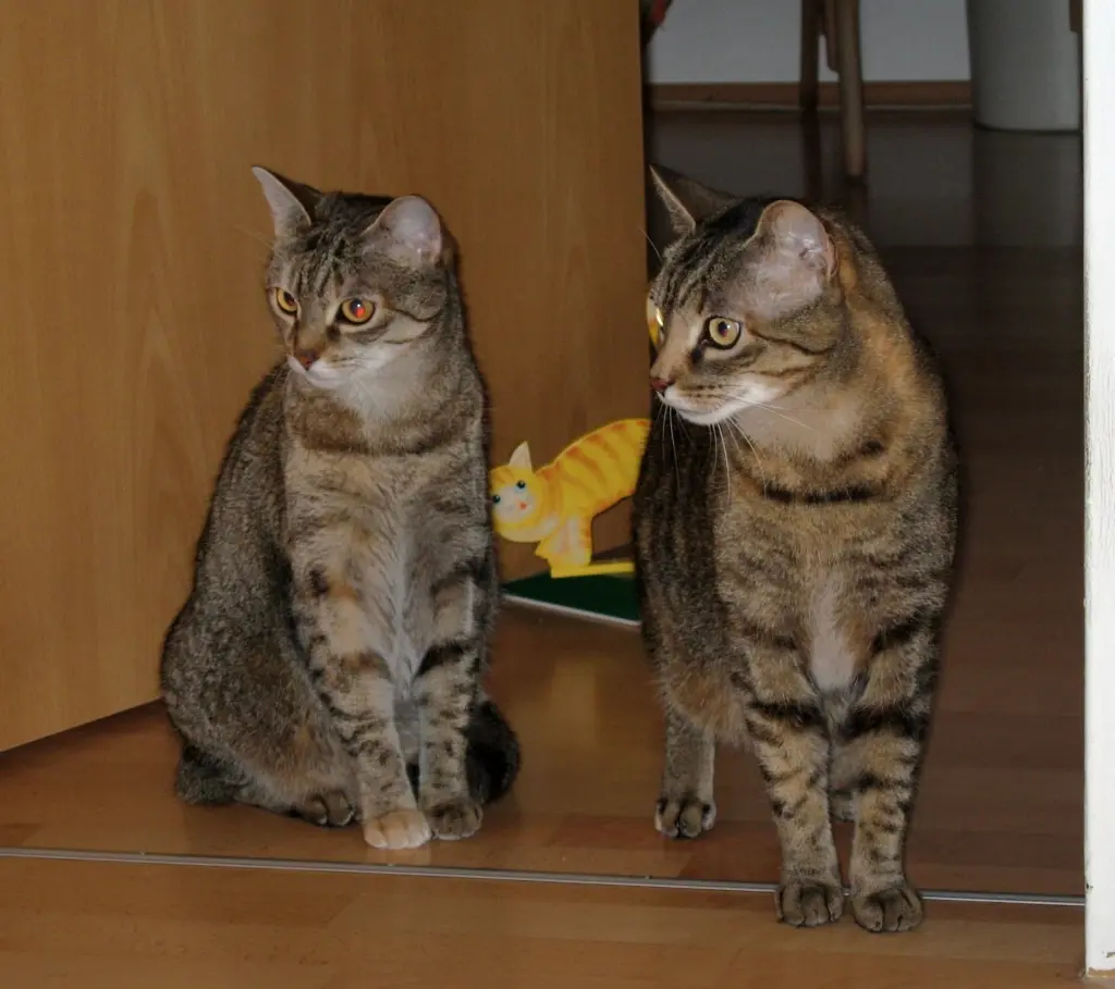 Andachtsbild von Elisabeth mit Marple im ♥