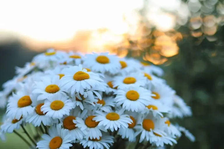 Andachtsbild von Von Emma ❤️❤️❤️