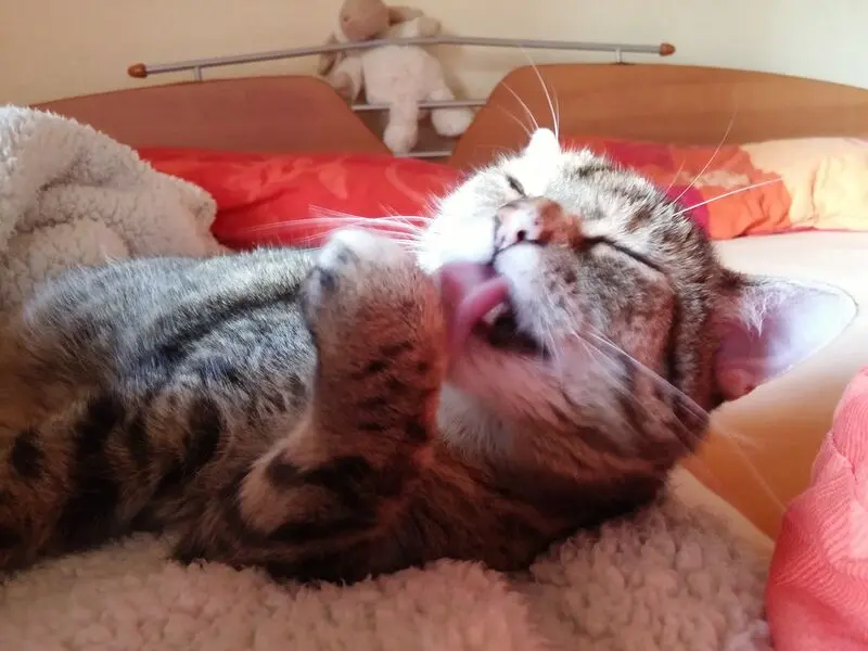 Andachtsbild von Daniela für Emma ❤️ und Sonja