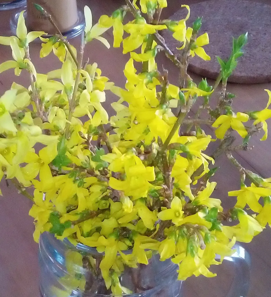 Andachtsbild von Elisabeth für Emma und Sonja