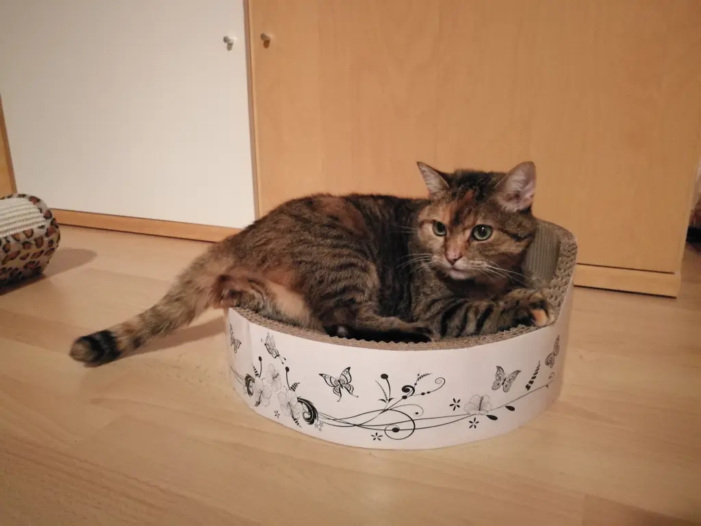 Andachtsbild von Daniela mit Pauline im ♥️ 