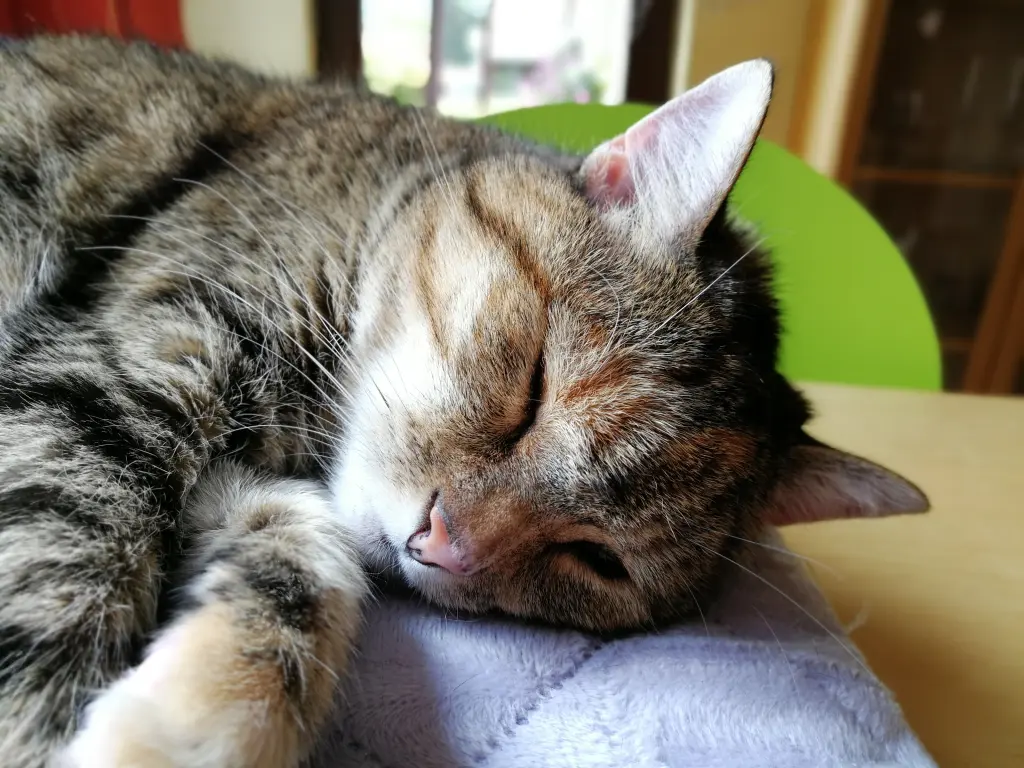 Andachtsbild von Daniela für die kleine Emma ❤️