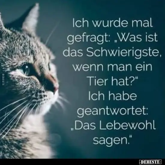 Andachtsbild von Elisabeth mit Marple im ♥