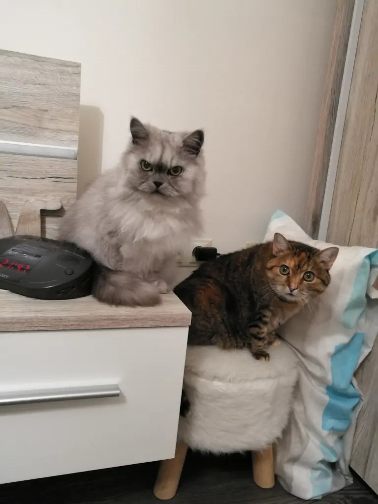 Andachtsbild von Daniela mit Pauline im ♥️ (+27.05.2021)