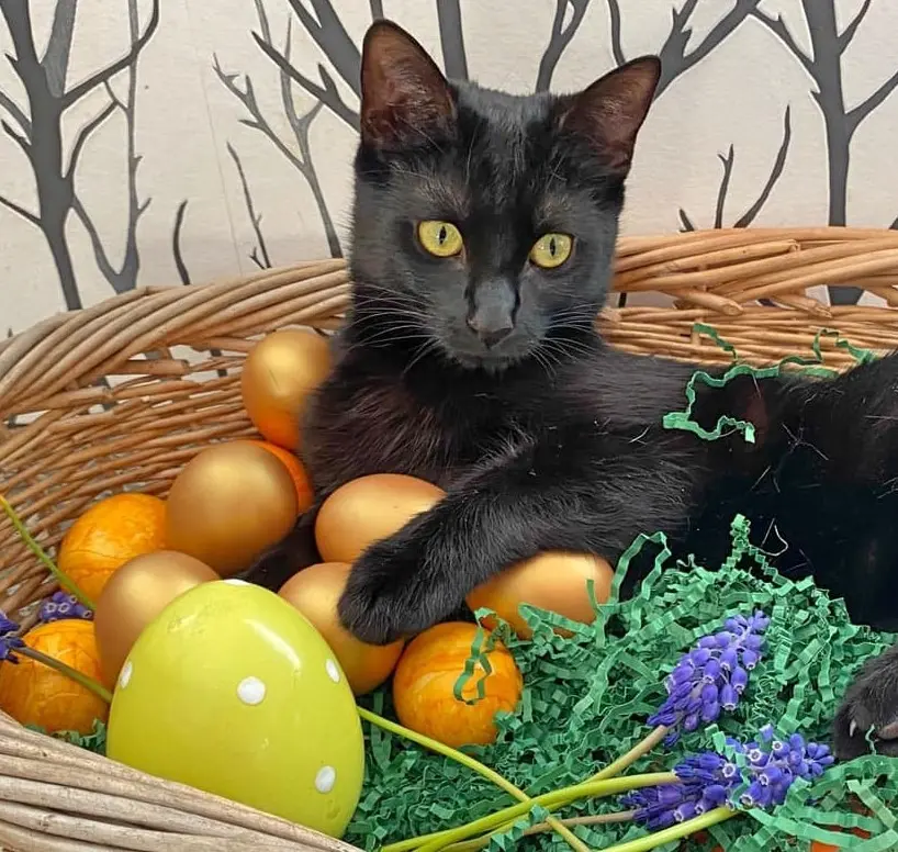 Andachtsbild von Emma und Sonja