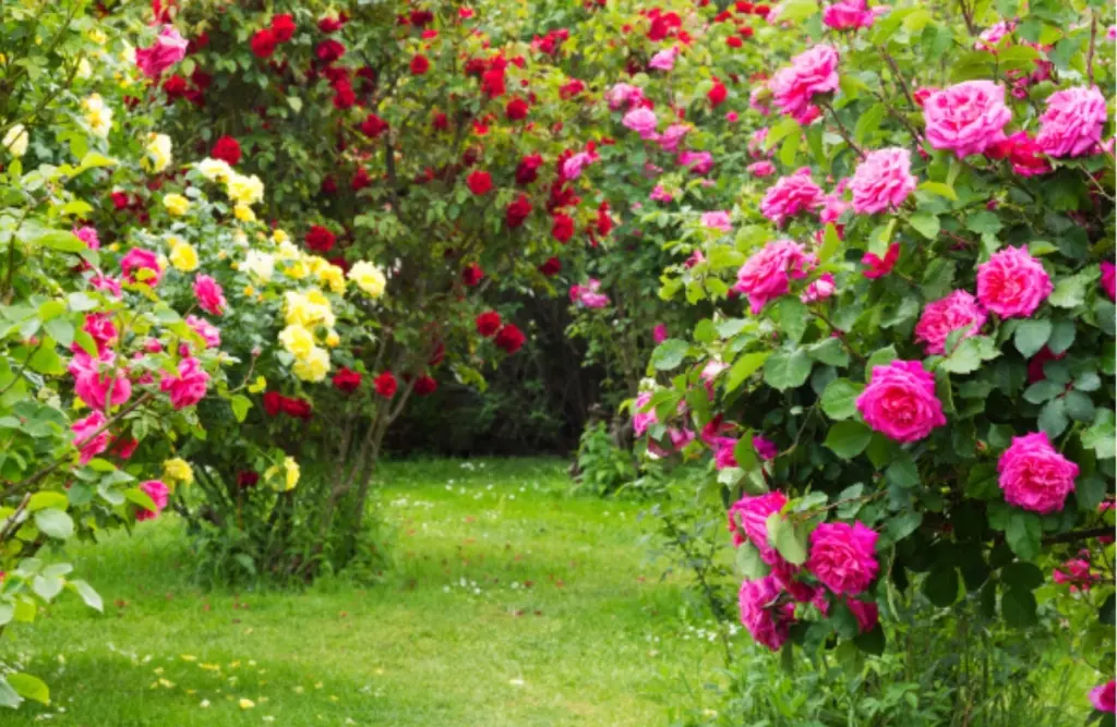 Andachtsbild von Pauline für Emma ❤️ und Mama Sonja