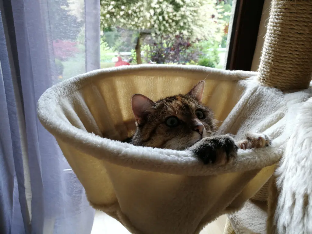 Andachtsbild von Pauline  für Emma ❤️ 