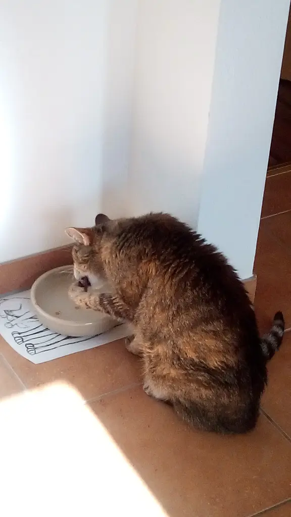 Andachtsbild von Elisabeth mit Marple im ♥