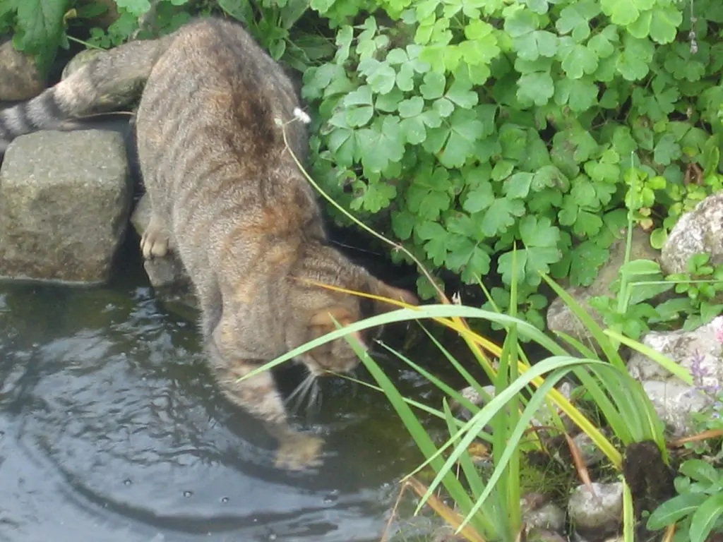 Andachtsbild von Elisabeth mit Marple