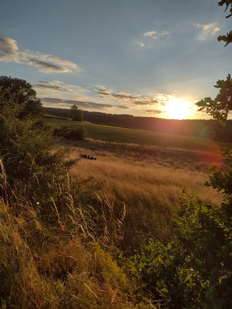 Andachtsbild von Corinna mit Emma, Pummelchen und anderen Sternlein im ❤️