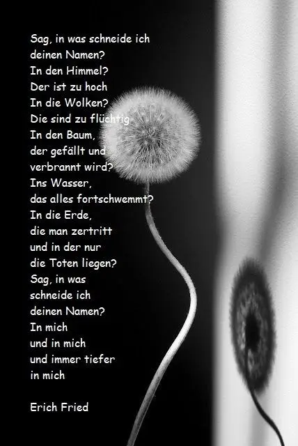 Andachtsbild von Pauline an Emma ❤️