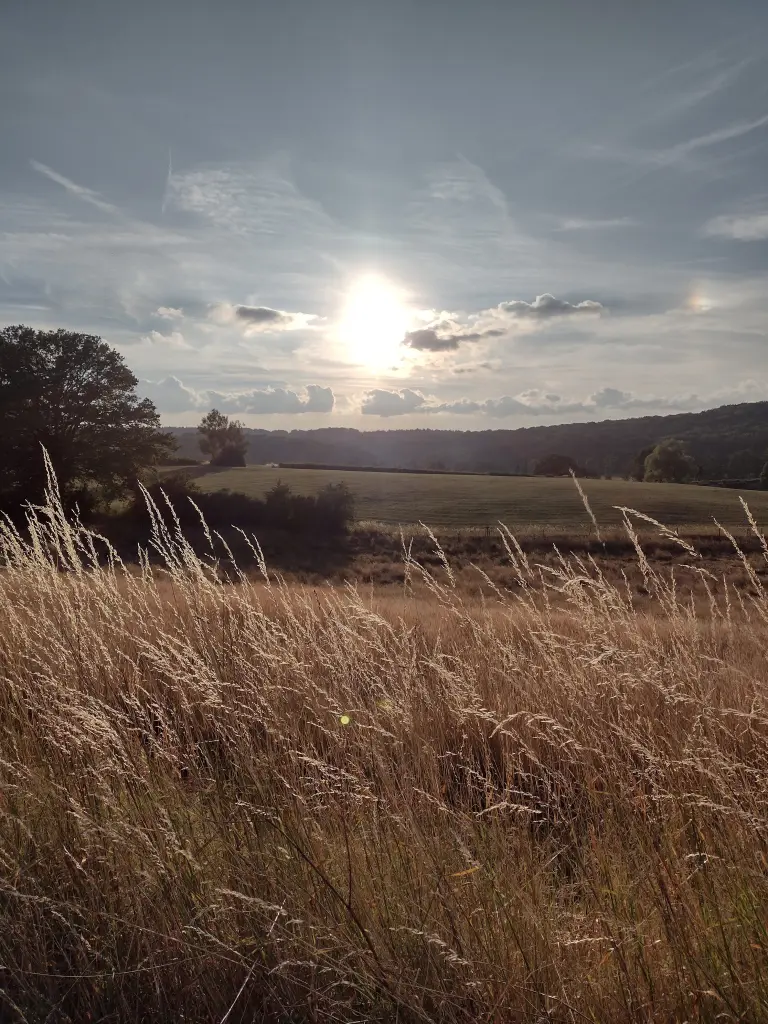 Andachtsbild von Corinna mit Emma, Pummelchen und anderen Sternlein im ❤️