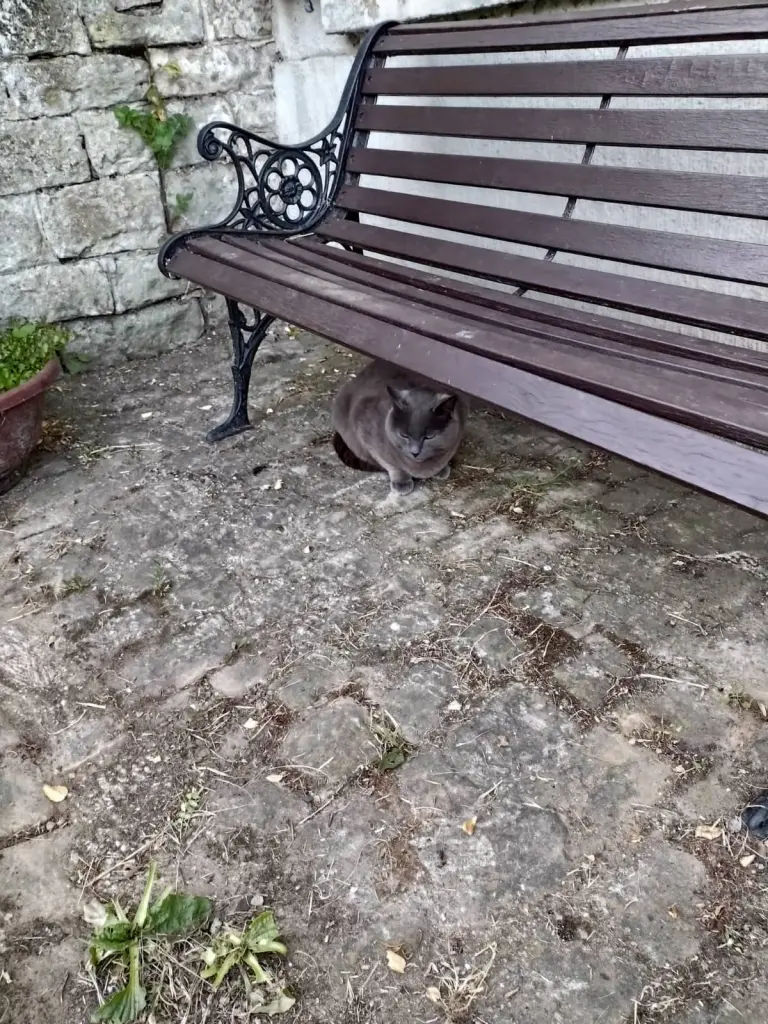 Andachtsbild von Corinna mit vielen um ♥️