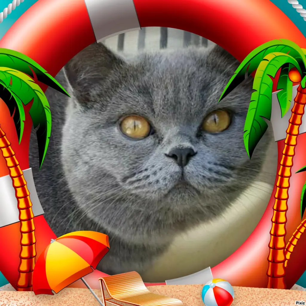 Andachtsbild von Tanja mit Timmy im Herzen 