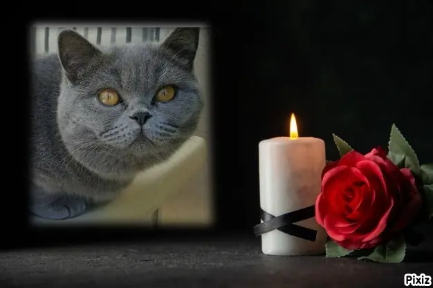 Andachtsbild von Tanja mit Timmy im Herzen 