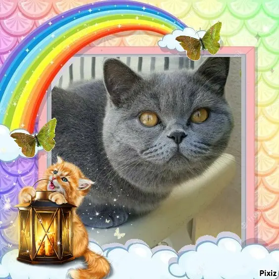 Andachtsbild von Tanja mit Timmy im Herzen 