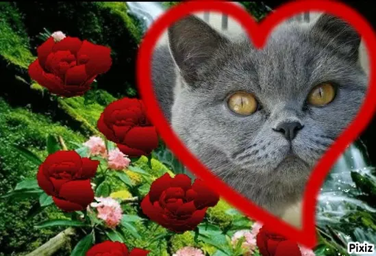 Andachtsbild von Tanja mit Timmy im Herzen 