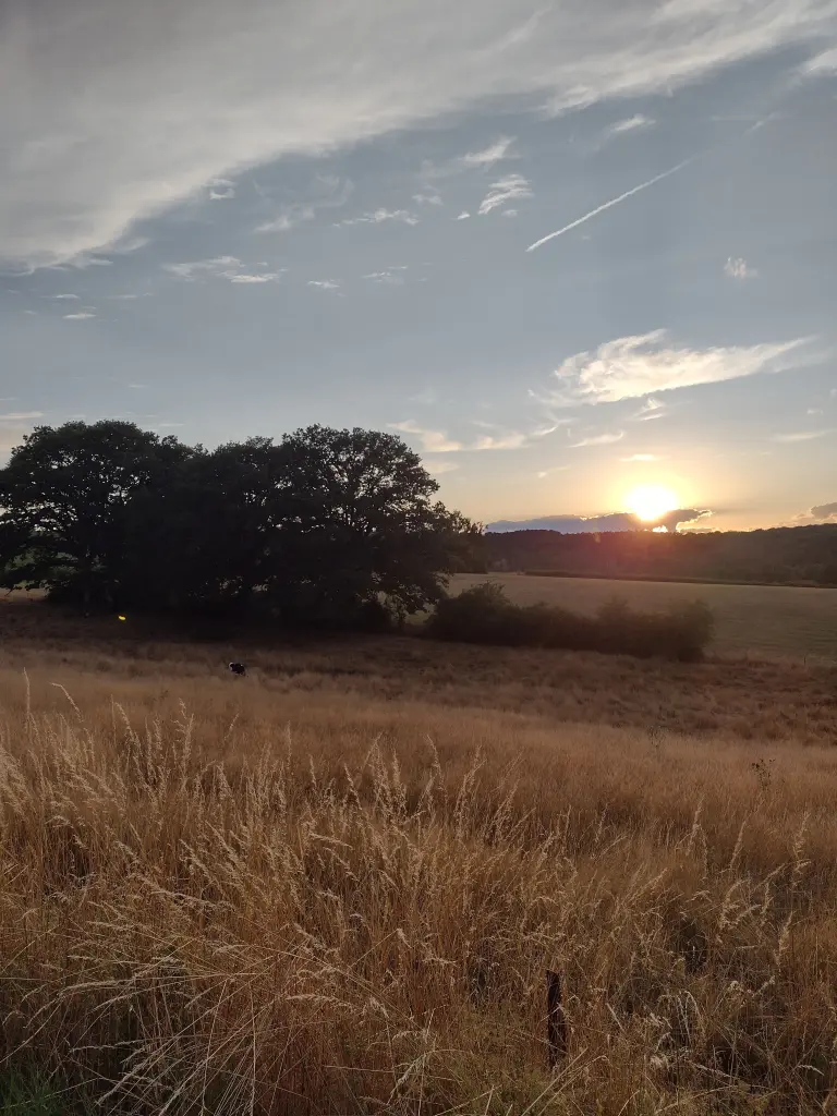 Andachtsbild von Corinna mit Emma, Pummelchen und anderen Sternlein im Herzen