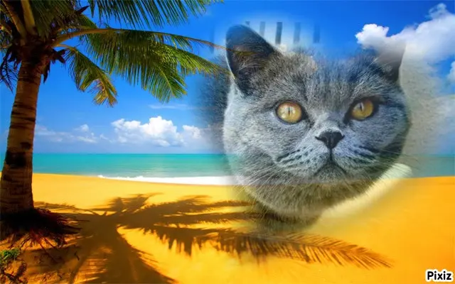 Andachtsbild von Tanja mit Timmy im Herzen 