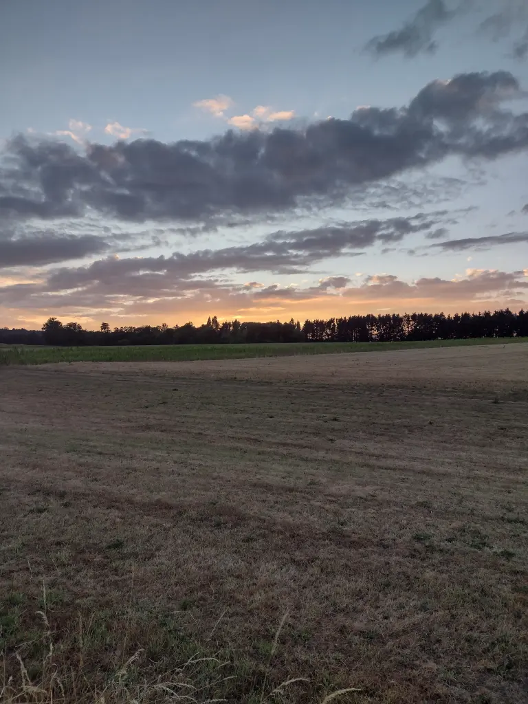 Andachtsbild von Corinna mit Emma, Pummelchen und anderen Sternleine im Herzen