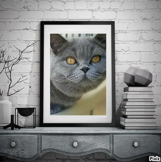 Andachtsbild von Tanja mit Timmy im Herzen 