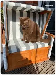 Andachtsbild von Corinna 