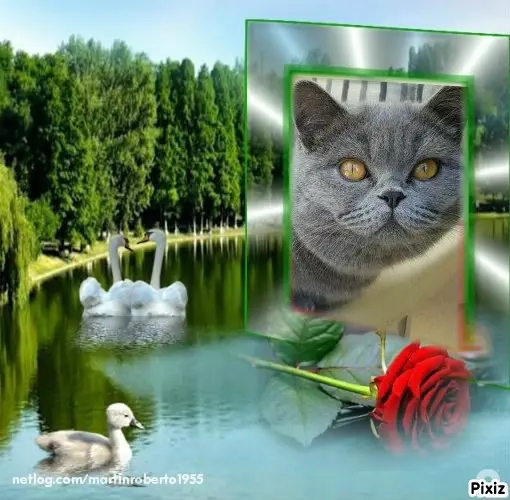 Andachtsbild von Tanja mit Timmy im Herzen 