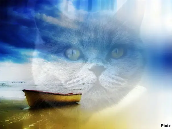 Andachtsbild von Tanja mit Timmy im Herzen 