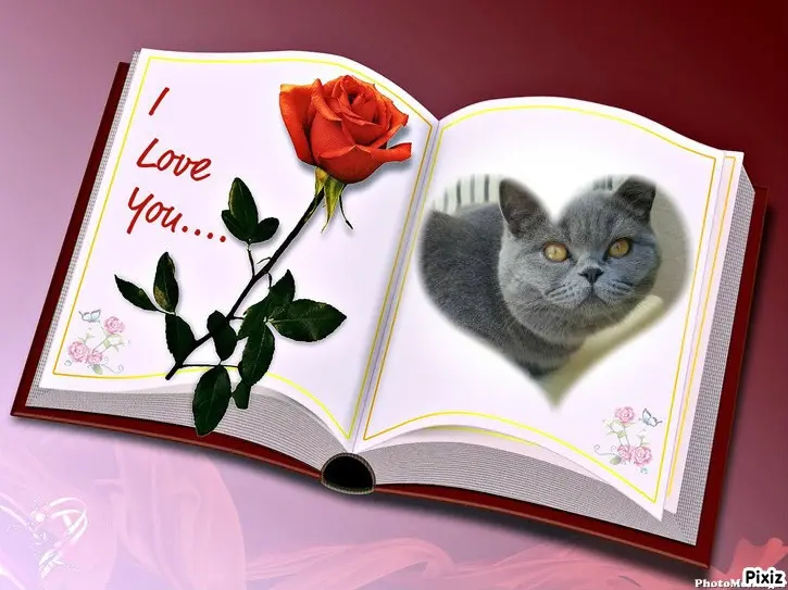 Andachtsbild von Tanja mit Timmy im Herzen 