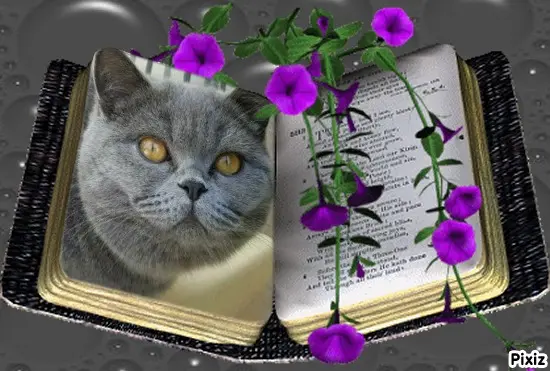 Andachtsbild von Tanja mit Timmy im Herzen 