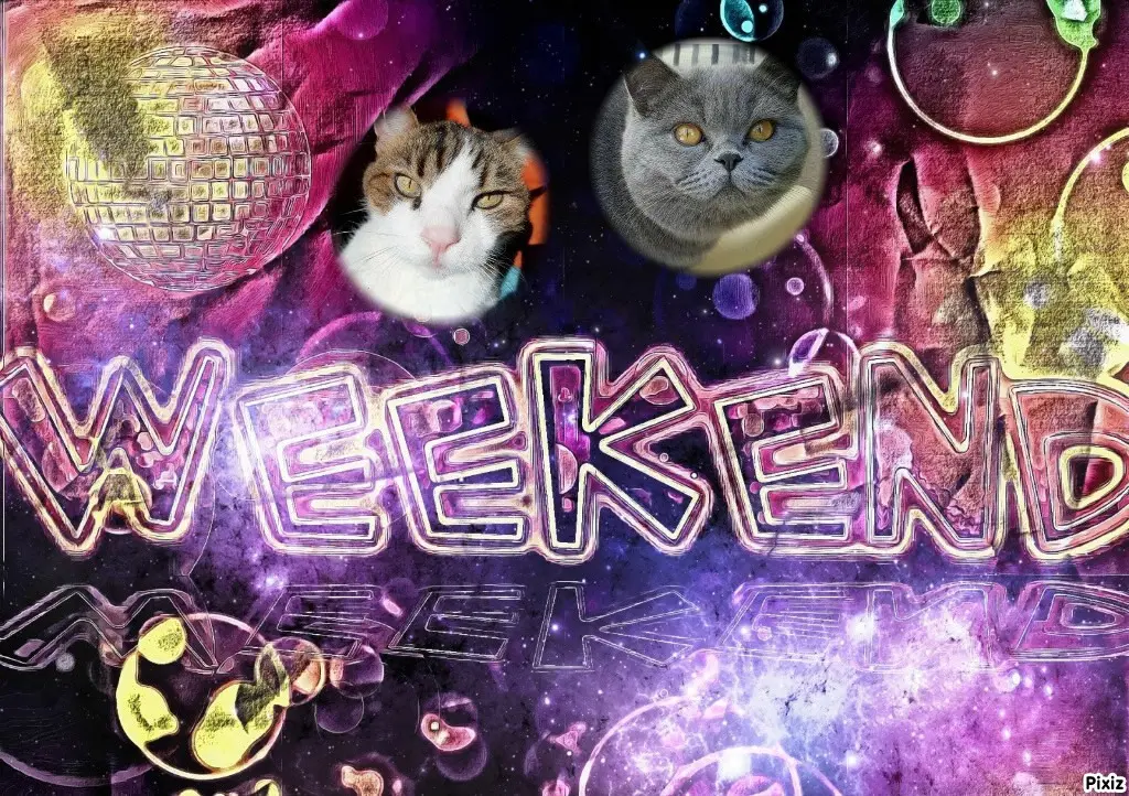 Andachtsbild von Tanja mit Timmy im Herzen 