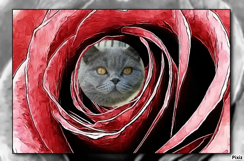 Andachtsbild von Tanja mit Timmy im Herzen 