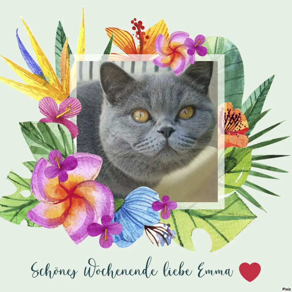 Andachtsbild von Tanja mit Timmy im Herzen 