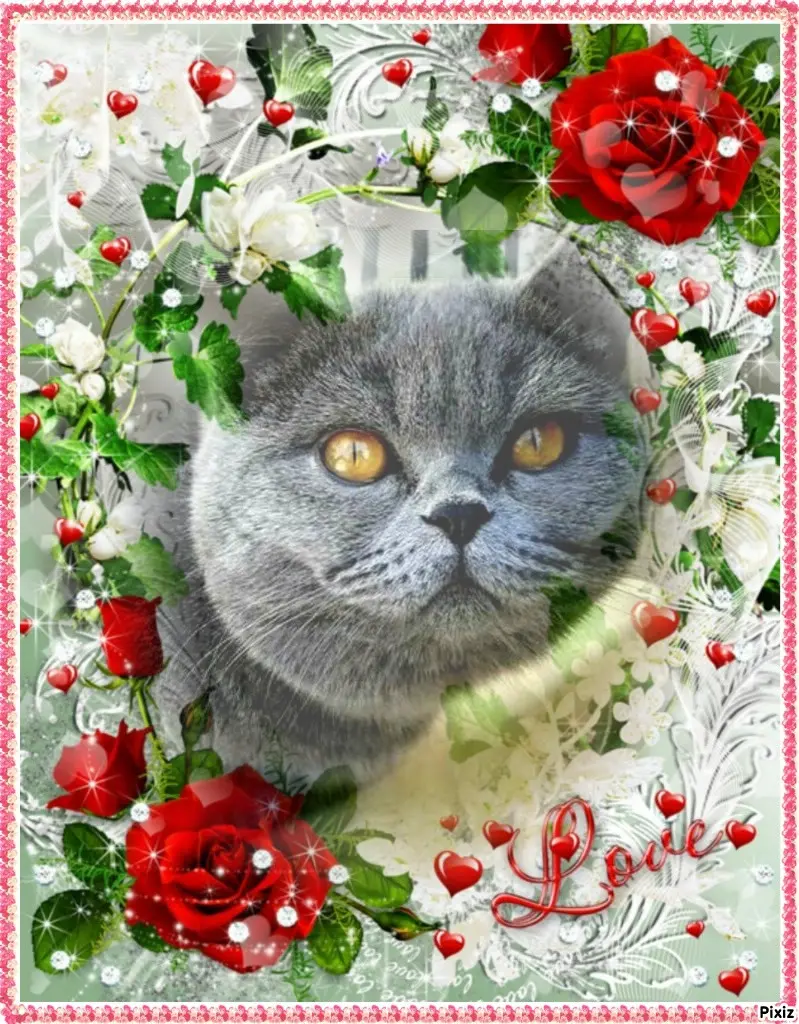 Andachtsbild von Tanja mit Timmy im Herzen 