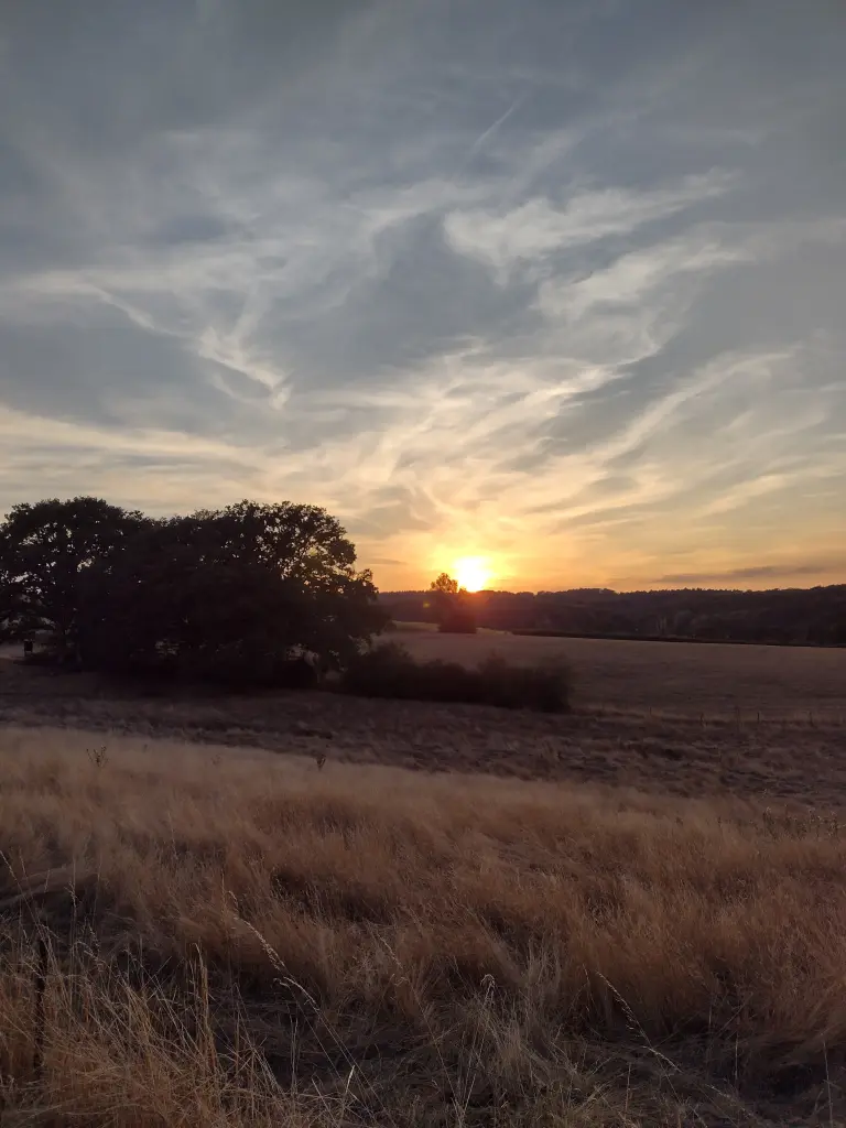 Andachtsbild von Corinna mit Emma, Pummelchen und anderen Sternleine im Herzen