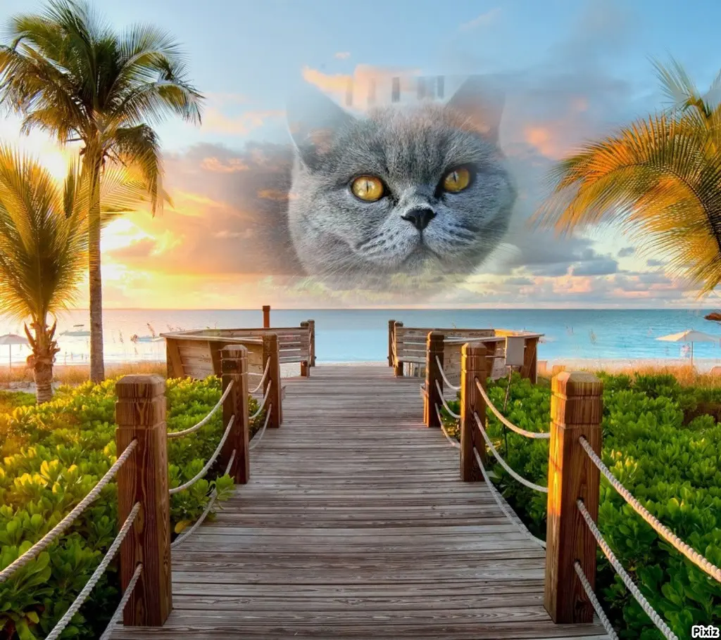 Andachtsbild von Tanja mit Timmy im Herzen 