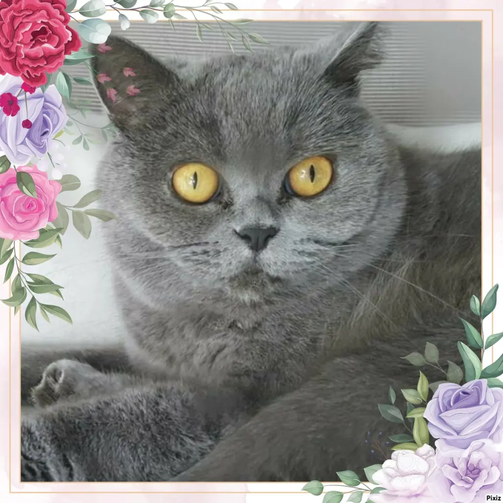 Andachtsbild von Tanja mit Timmy im Herzen 