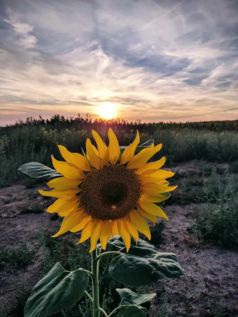 Andachtsbild von Von Emmi an Emmi❤️❤️❤️