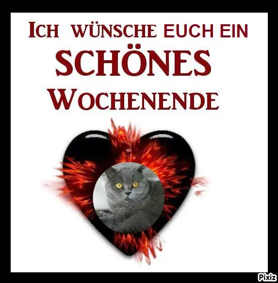 Andachtsbild von Tanja mit Timmy im Herzen 