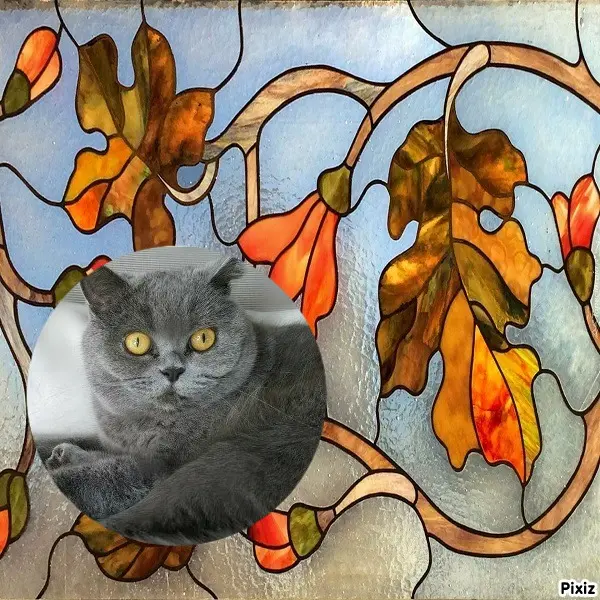 Andachtsbild von Tanja mit Timmy im Herzen 