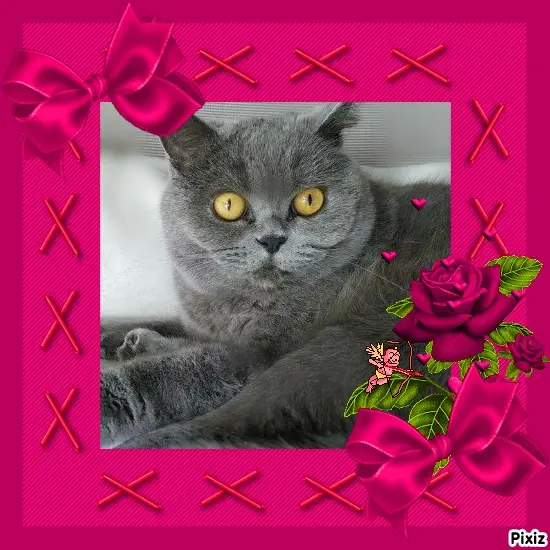 Andachtsbild von Tanja mit Timmy im Herzen 