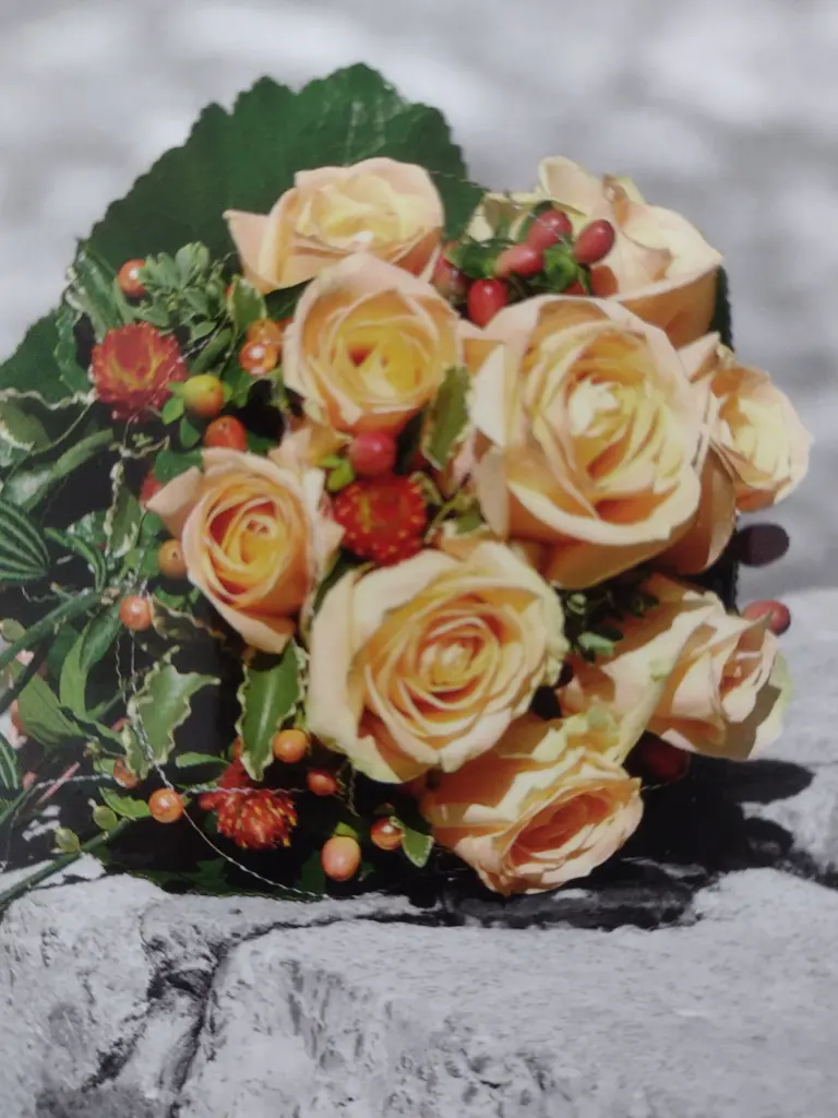 Andachtsbild von Corinna mit Emma, Pummelchen und anderen Sternlein im Herzen