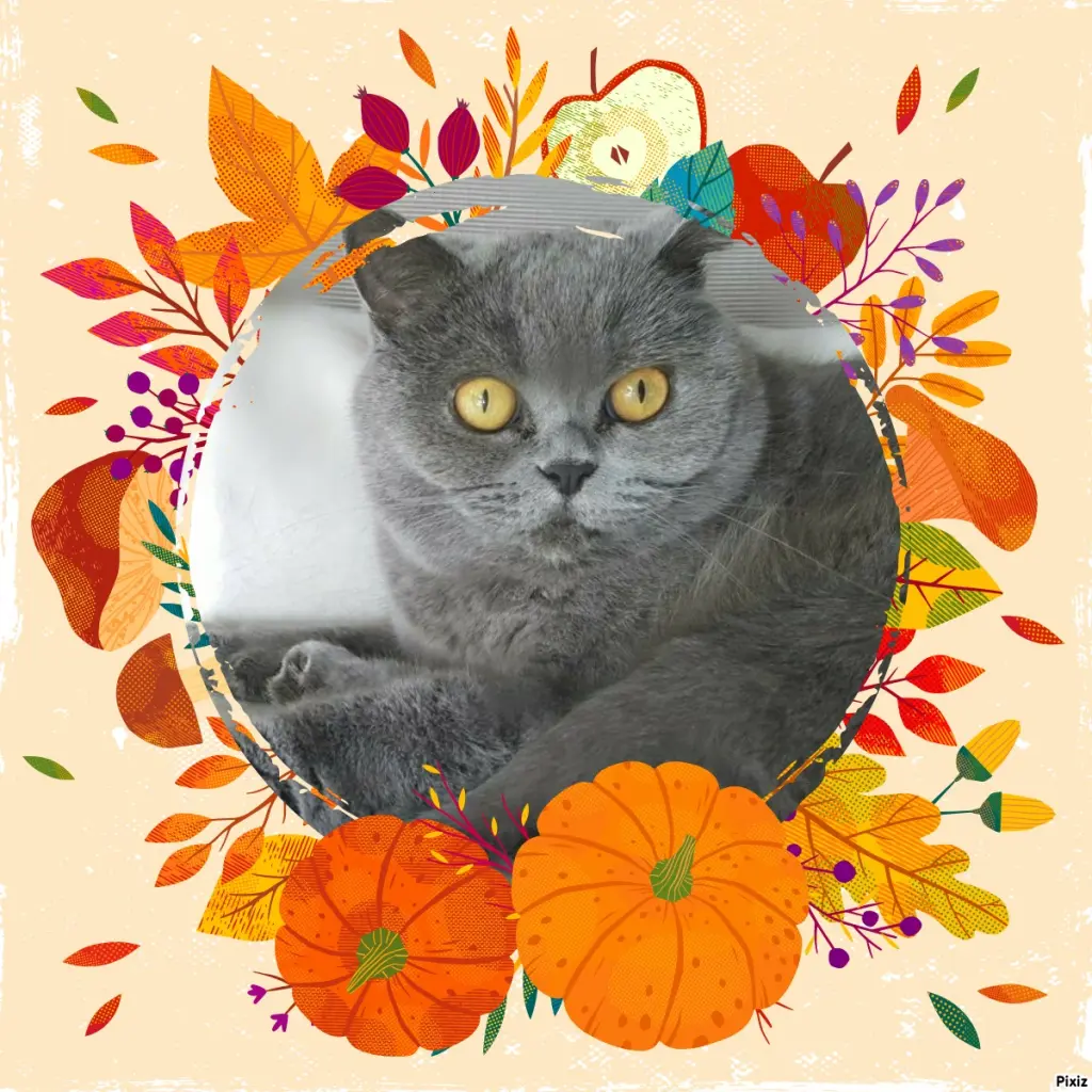 Andachtsbild von Tanja mit Timmy im Herzen