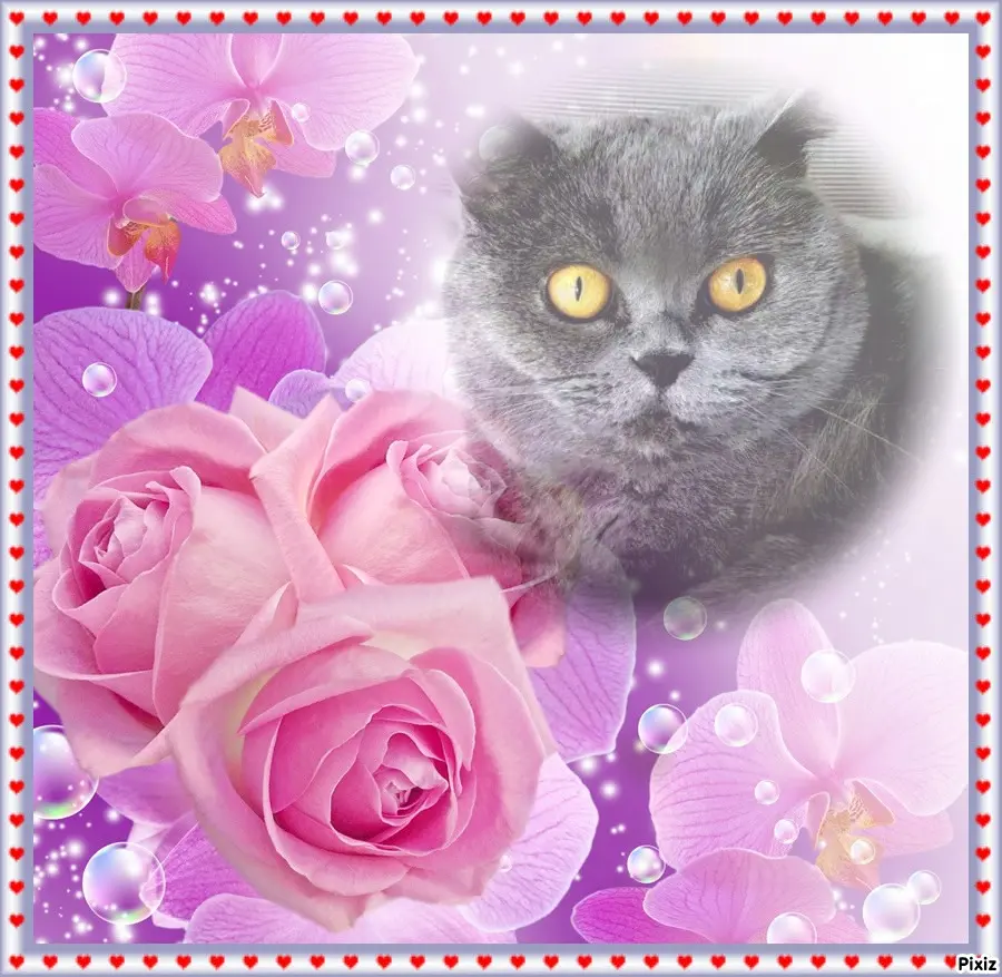 Andachtsbild von Tanja mit Timmy im Herzen 