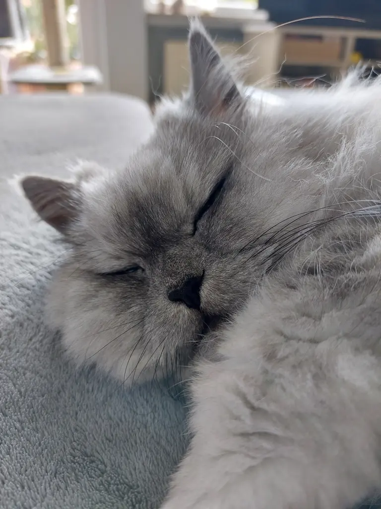 Andachtsbild von Daniela und Leonie ❤️