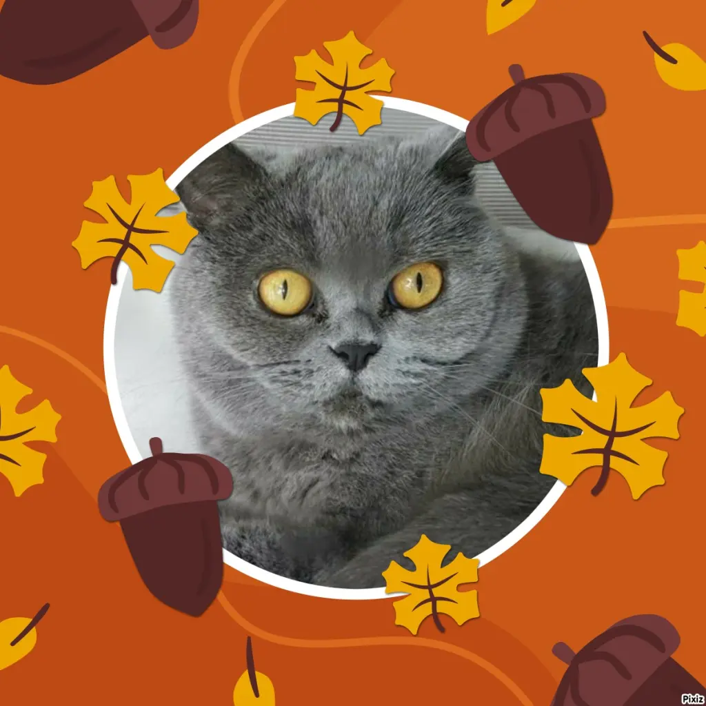 Andachtsbild von Tanja mit Timmy im Herzen 