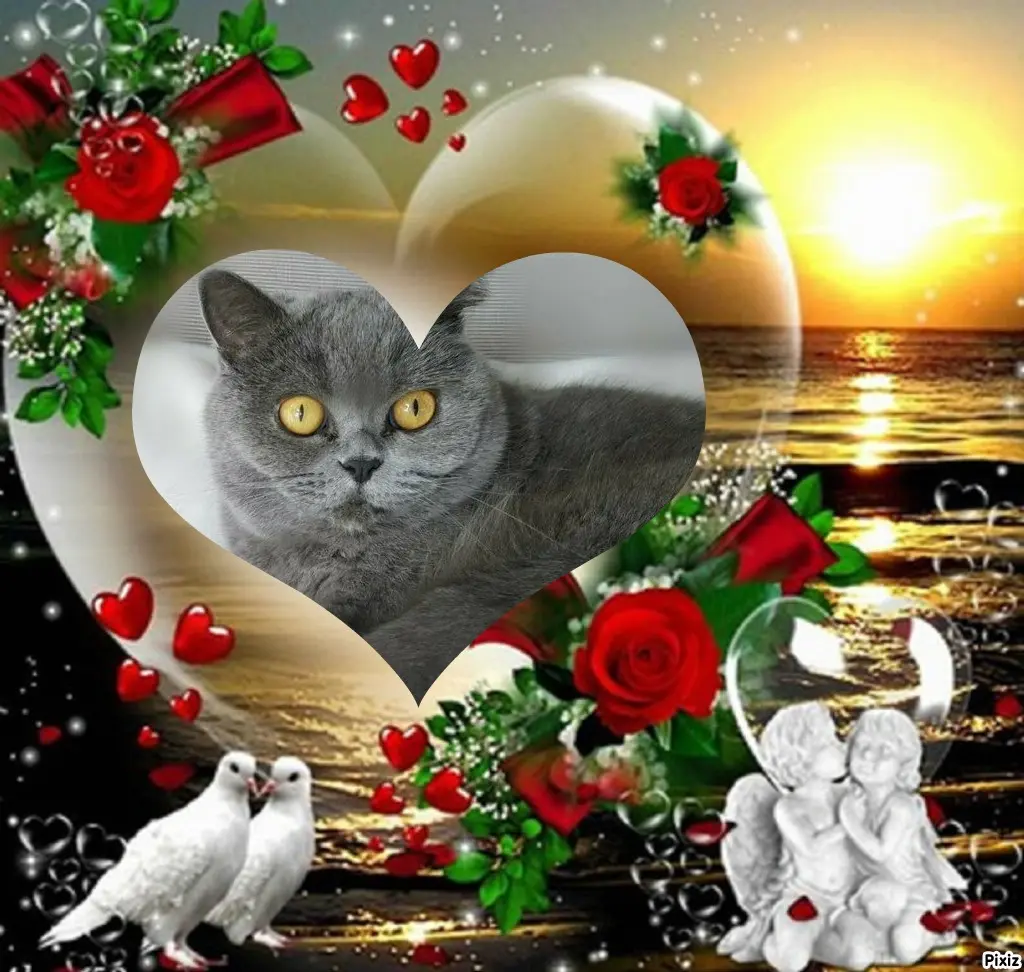 Andachtsbild von Tanja mit Timmy im Herzen 